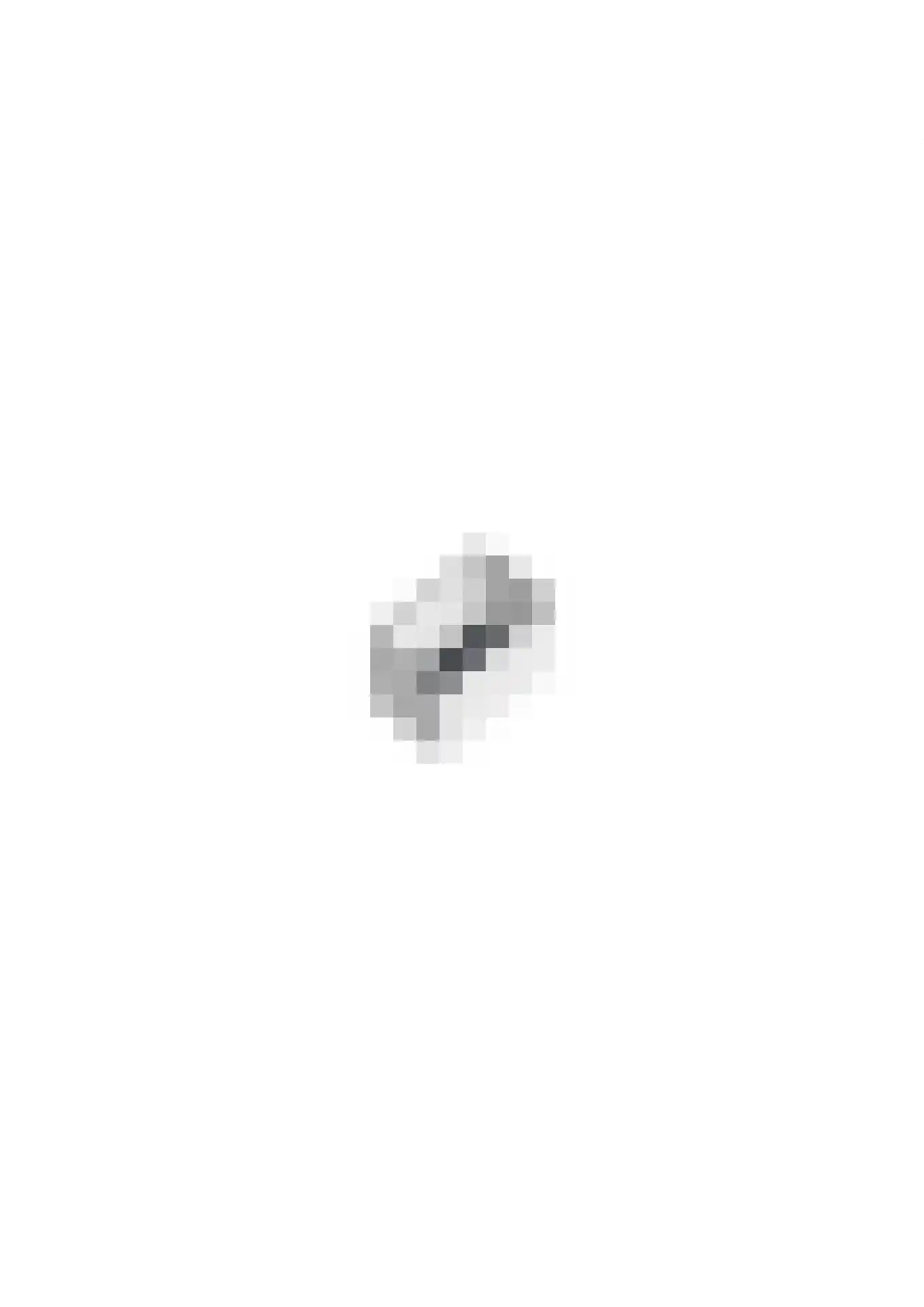 Hoog-Beugt 2 Heeswijk-Dinther thumbnail 61