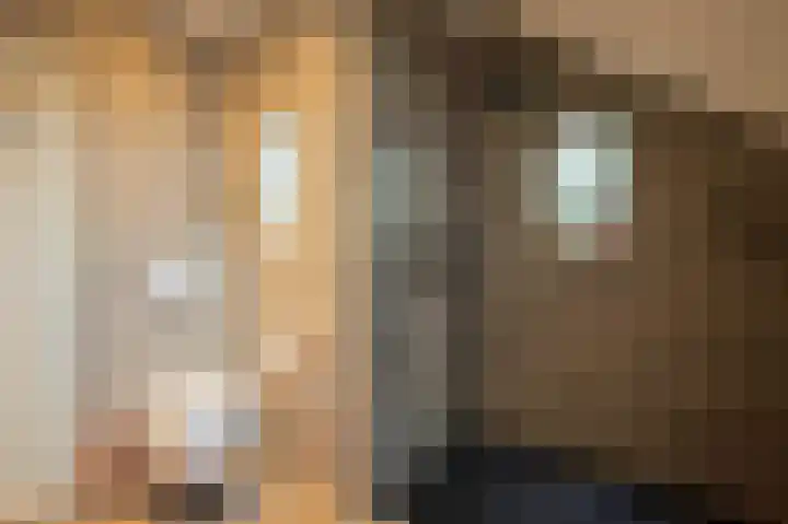 Hoog Boveneind 12 Nederhemert thumbnail 39