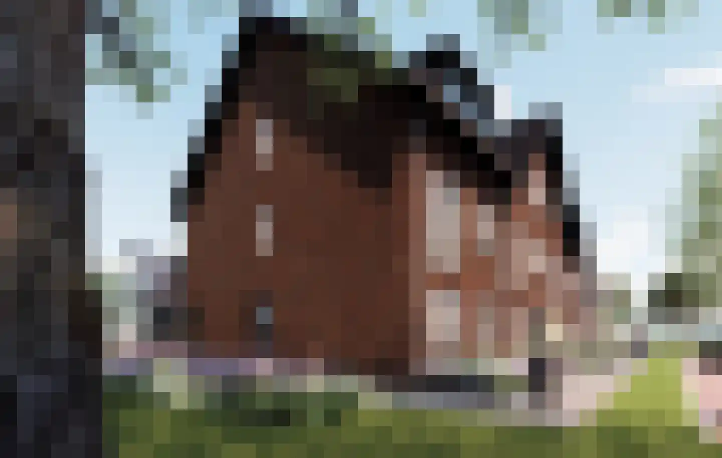 Hoog Boveneind 17 B Nederhemert thumbnail 4