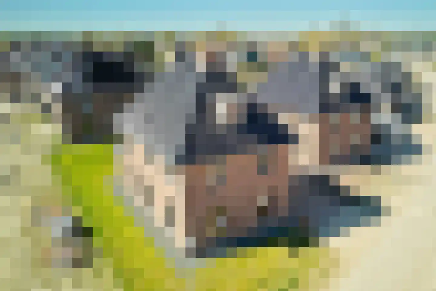 Hoog Boveneind 20 Nederhemert thumbnail 10