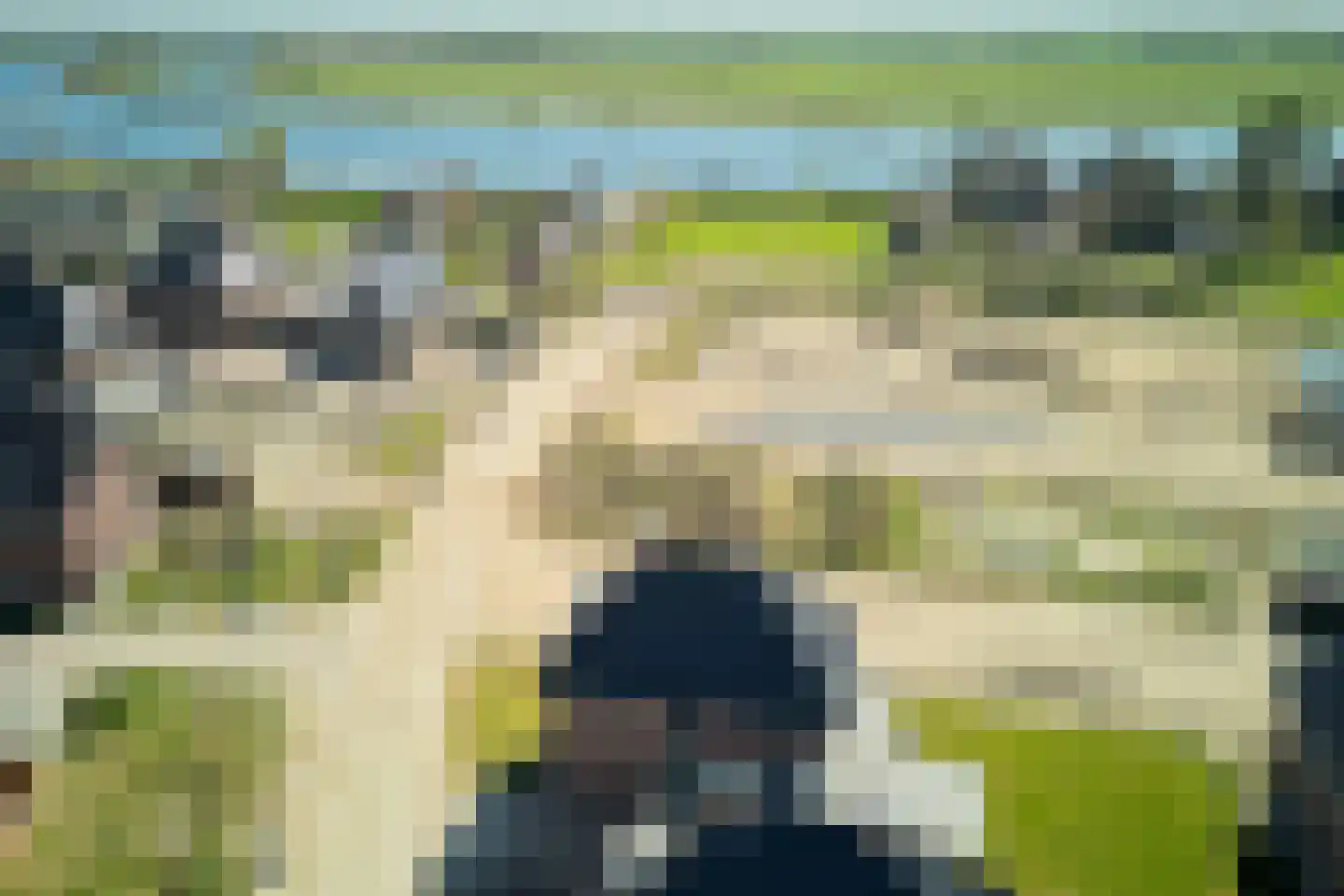 Hoog Boveneind 20 Nederhemert thumbnail 11