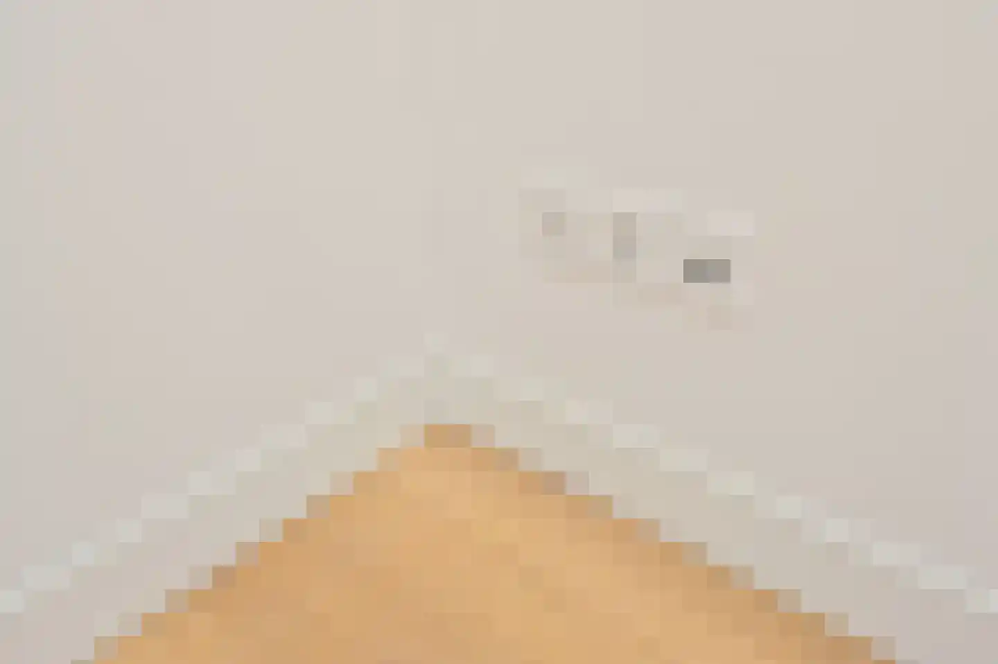 Hoog Boveneind 20 Nederhemert thumbnail 33