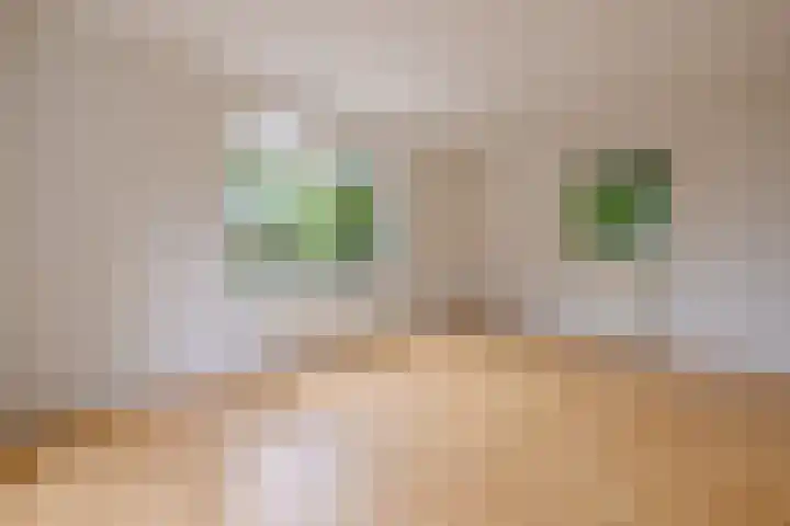 Hoog Buurloseweg 115 Ugchelen thumbnail 12