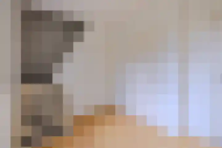 Hoog Buurloseweg 115 Ugchelen thumbnail 17