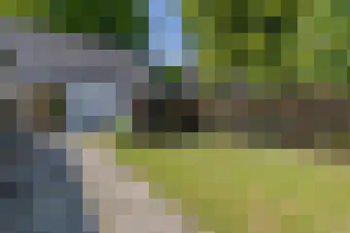 Hoog Buurloseweg 115 Ugchelen thumbnail 22