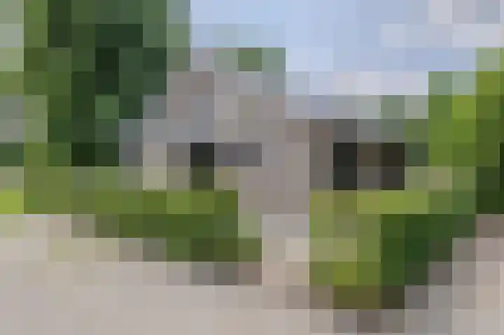Hoog Buurloseweg 115 Ugchelen thumbnail 26