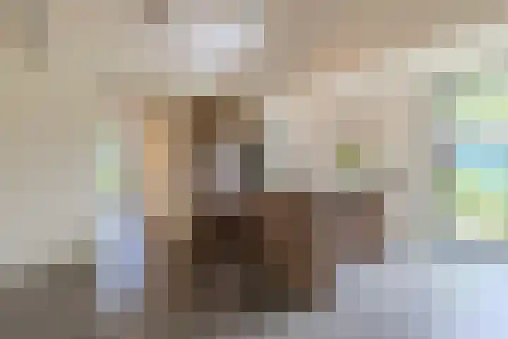 Hoog Buurloseweg 115 Ugchelen thumbnail 33
