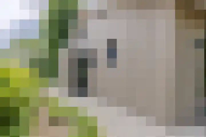 Hoog Buurloseweg 115 Ugchelen thumbnail 42