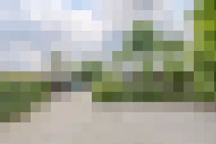 Hoog Buurloseweg 115 Ugchelen thumbnail 43