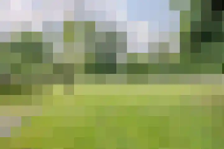 Hoog Buurloseweg 115 Ugchelen thumbnail 45
