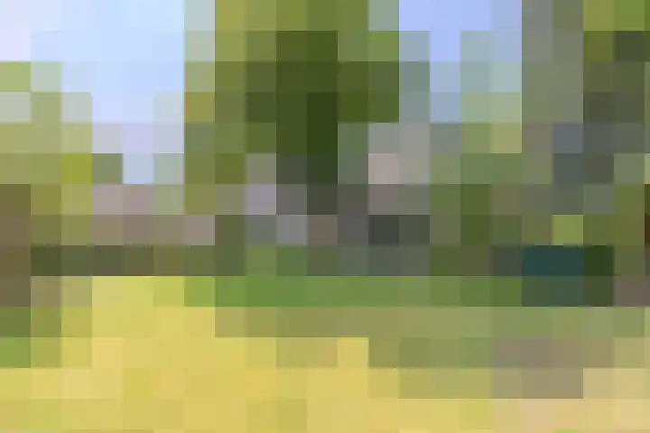 Hoog Buurloseweg 115 Ugchelen thumbnail 7