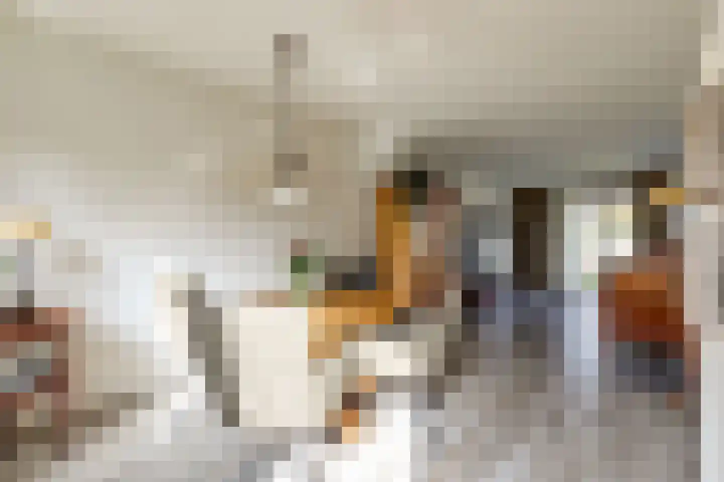 Hoog Buurloseweg 19 Ugchelen thumbnail 16