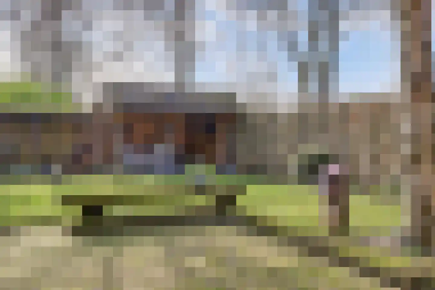 Hoog Buurloseweg 19 Ugchelen thumbnail 21