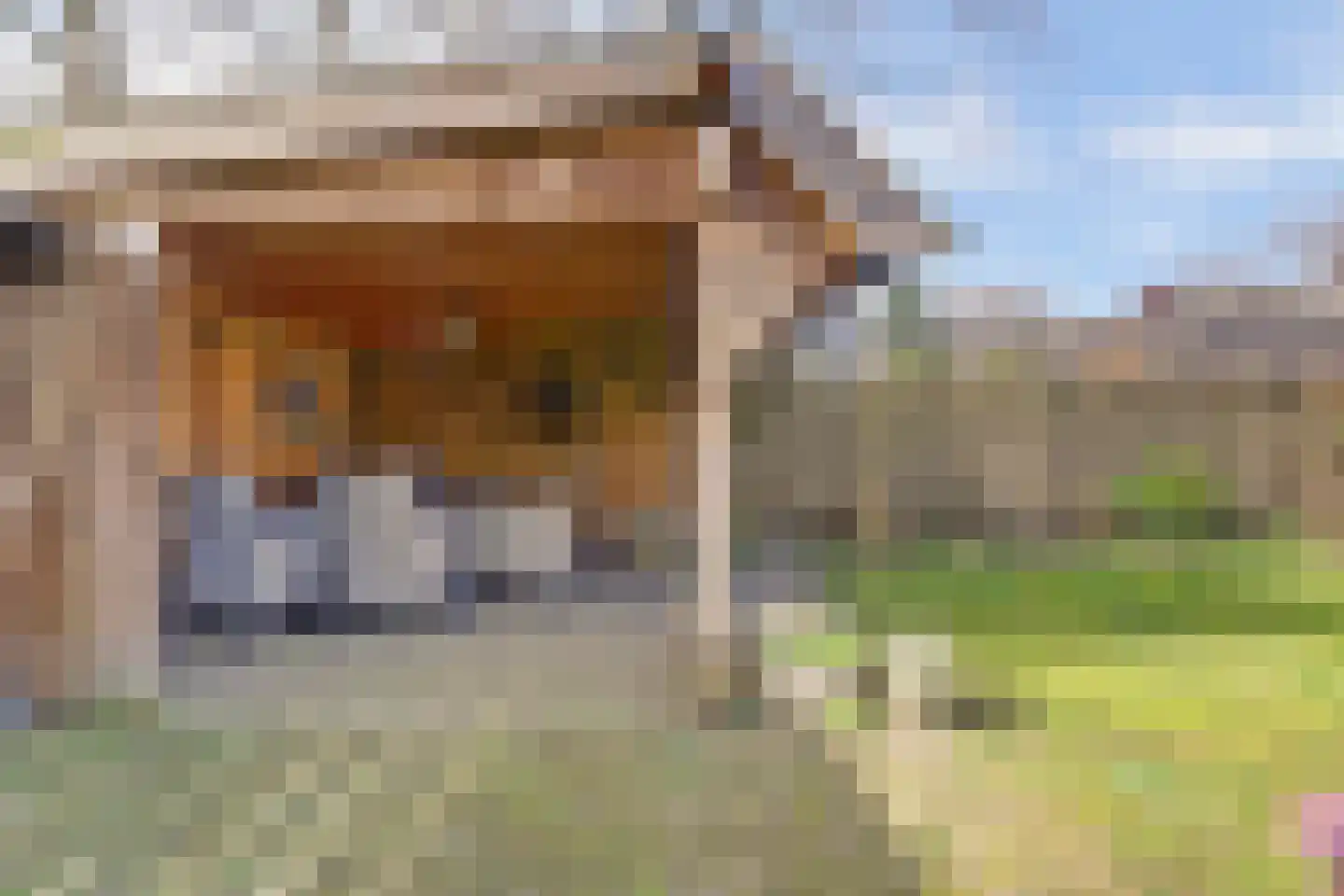 Hoog Buurloseweg 19 Ugchelen thumbnail 22