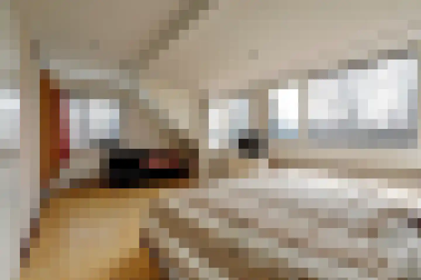 Hoog Buurloseweg 19 Ugchelen thumbnail 26