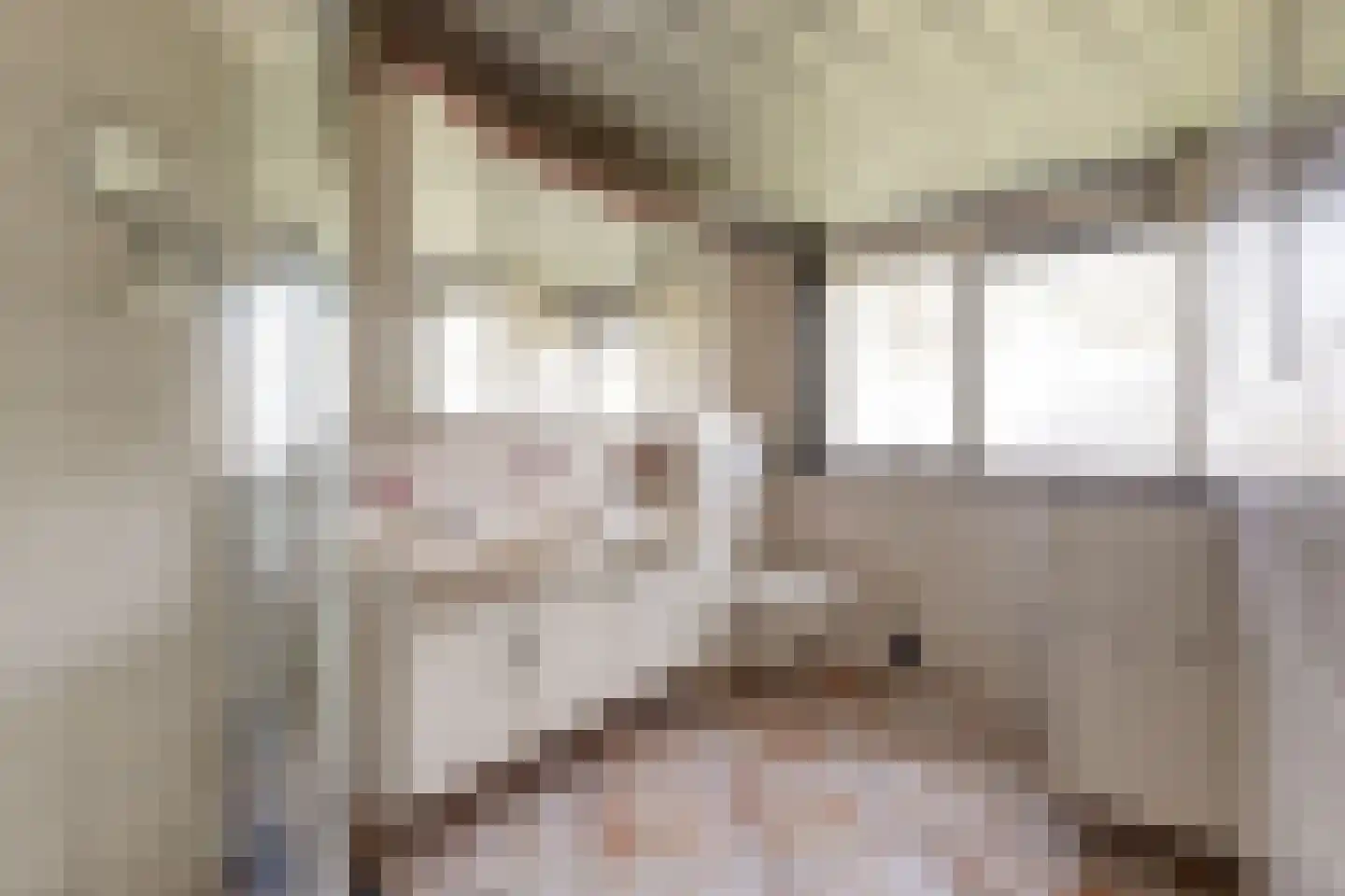 Hoog Buurloseweg 19 Ugchelen thumbnail 30