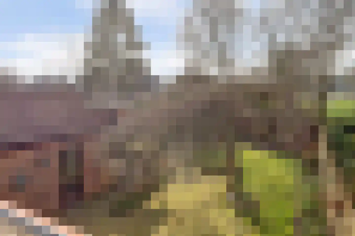Hoog Buurloseweg 19 Ugchelen thumbnail 35