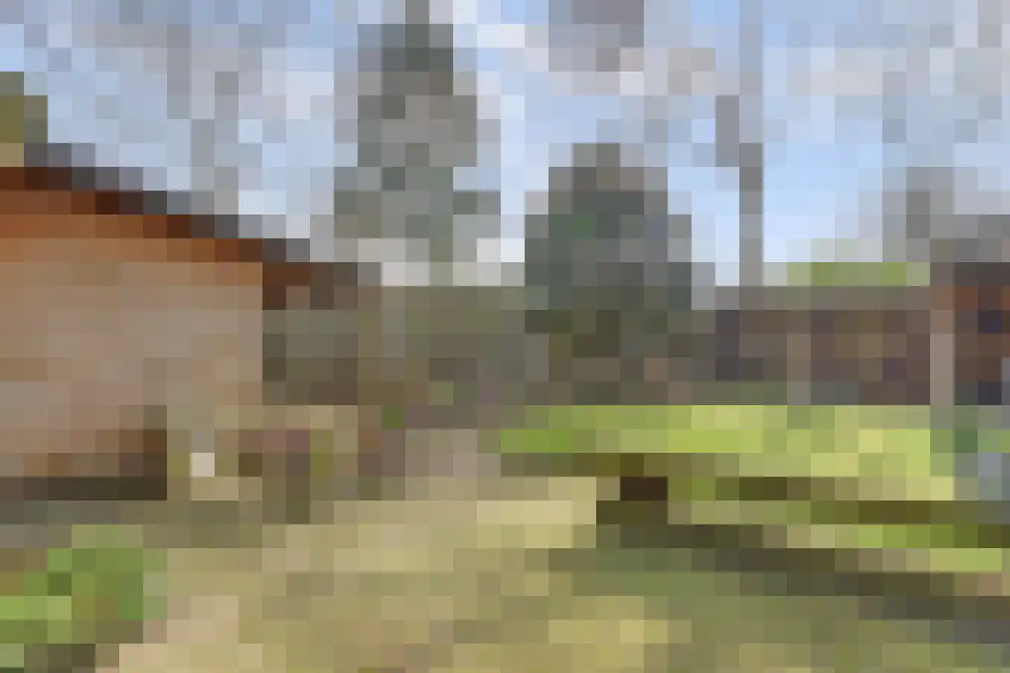 Hoog Buurloseweg 19 Ugchelen thumbnail 36