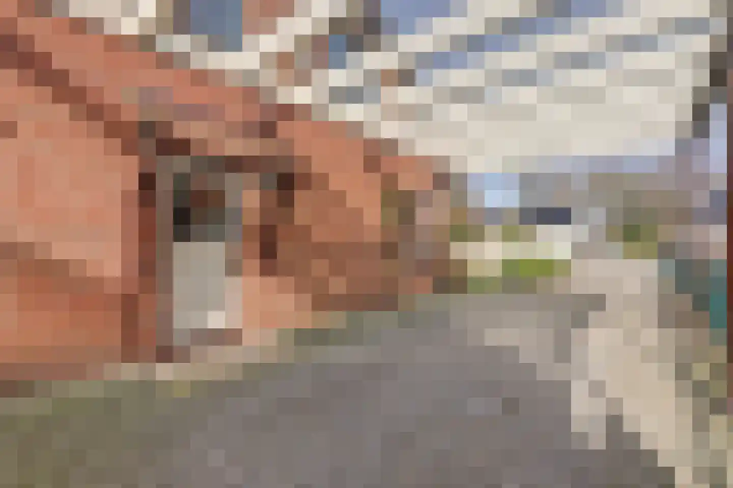Hoog Buurloseweg 19 Ugchelen thumbnail 9