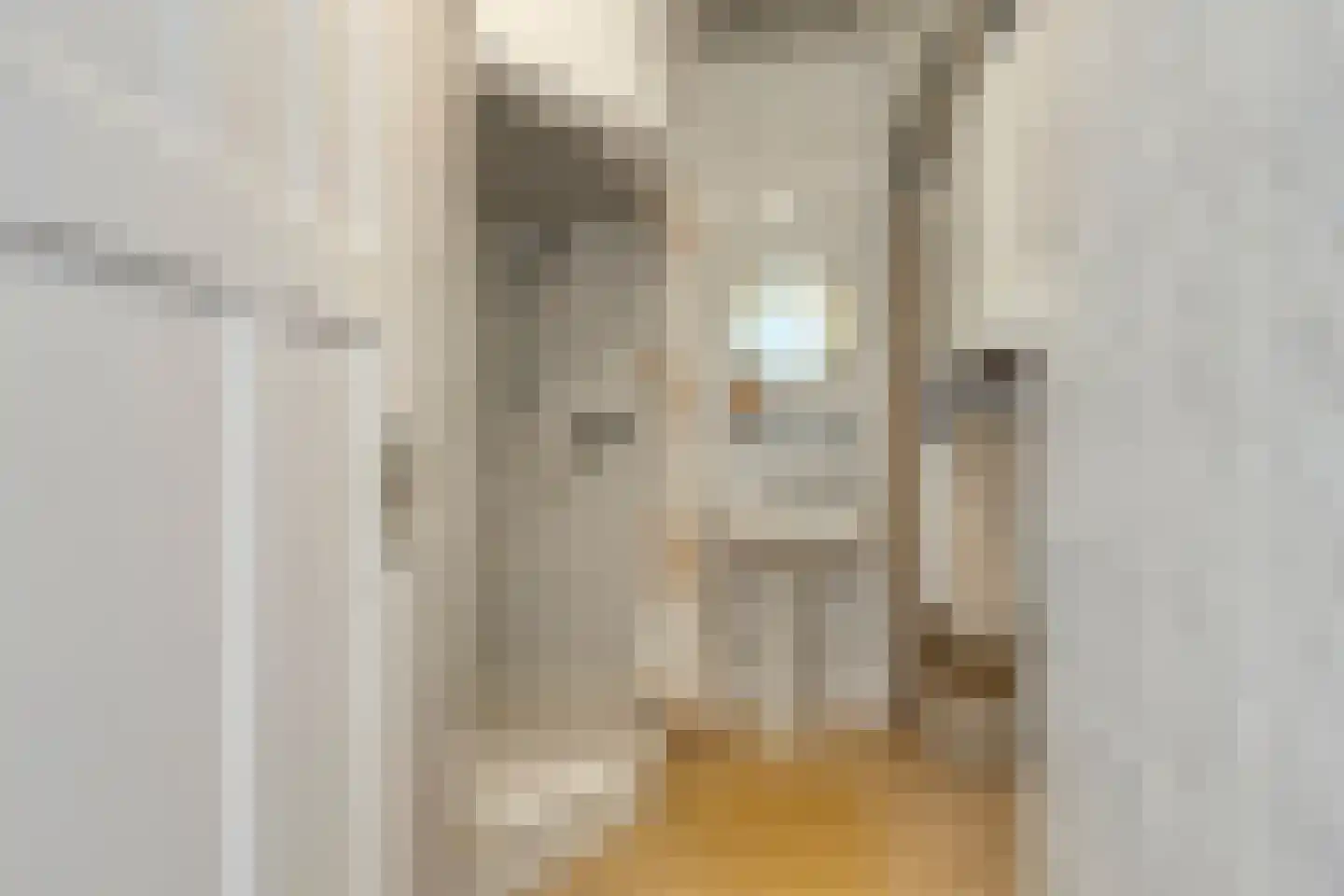 Hoog Buurlostraat 46 Den Haag thumbnail 17