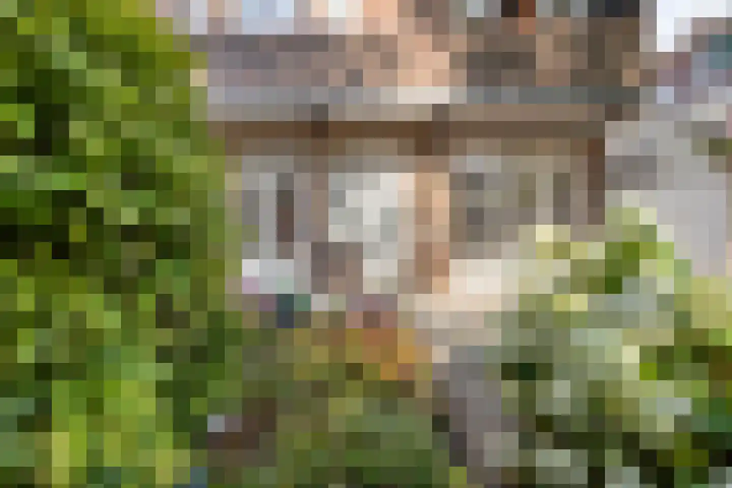 Hoog Buurlostraat 46 Den Haag thumbnail 8