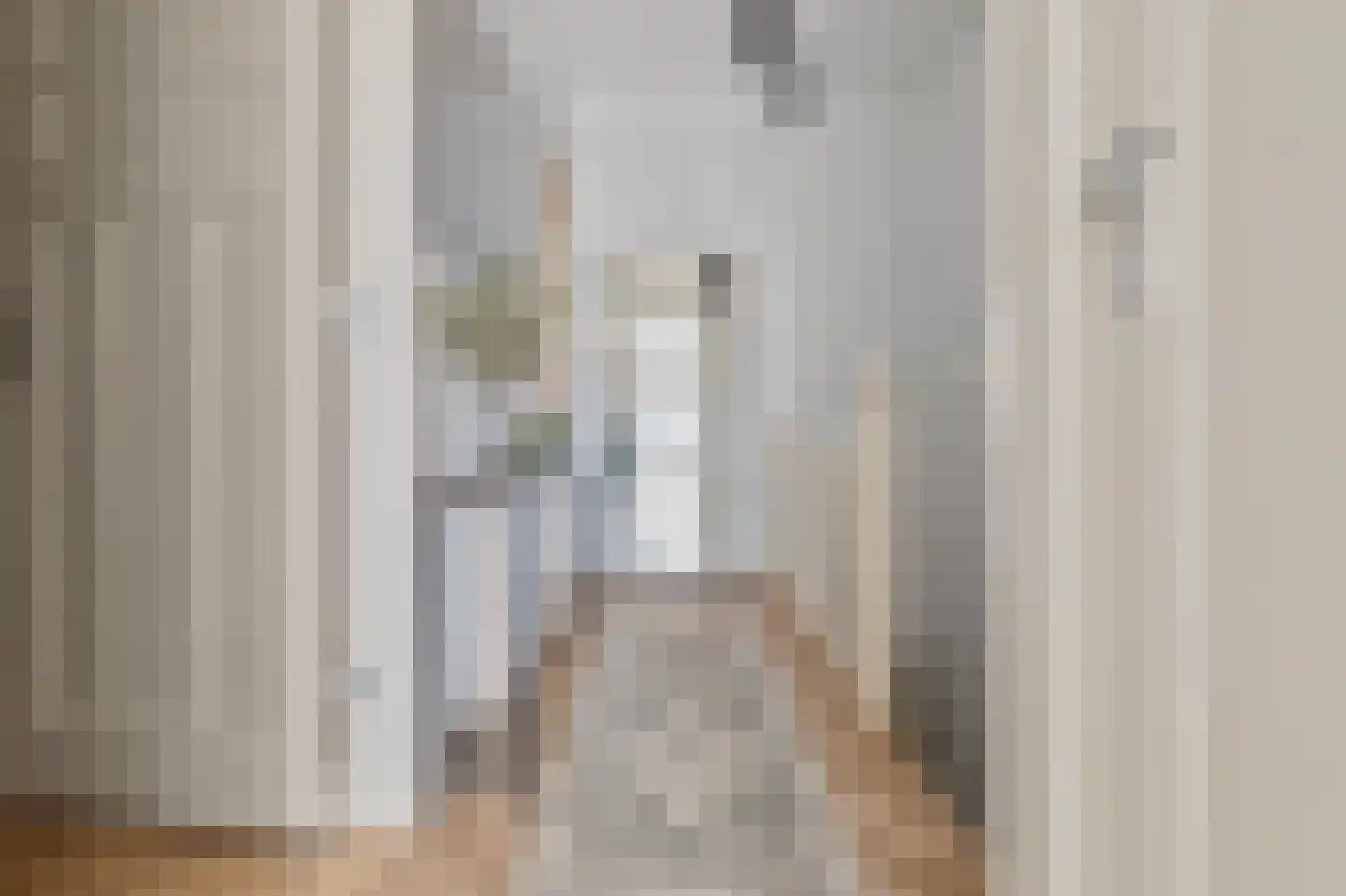 Hoog Buurlostraat 6 Den Haag thumbnail 6