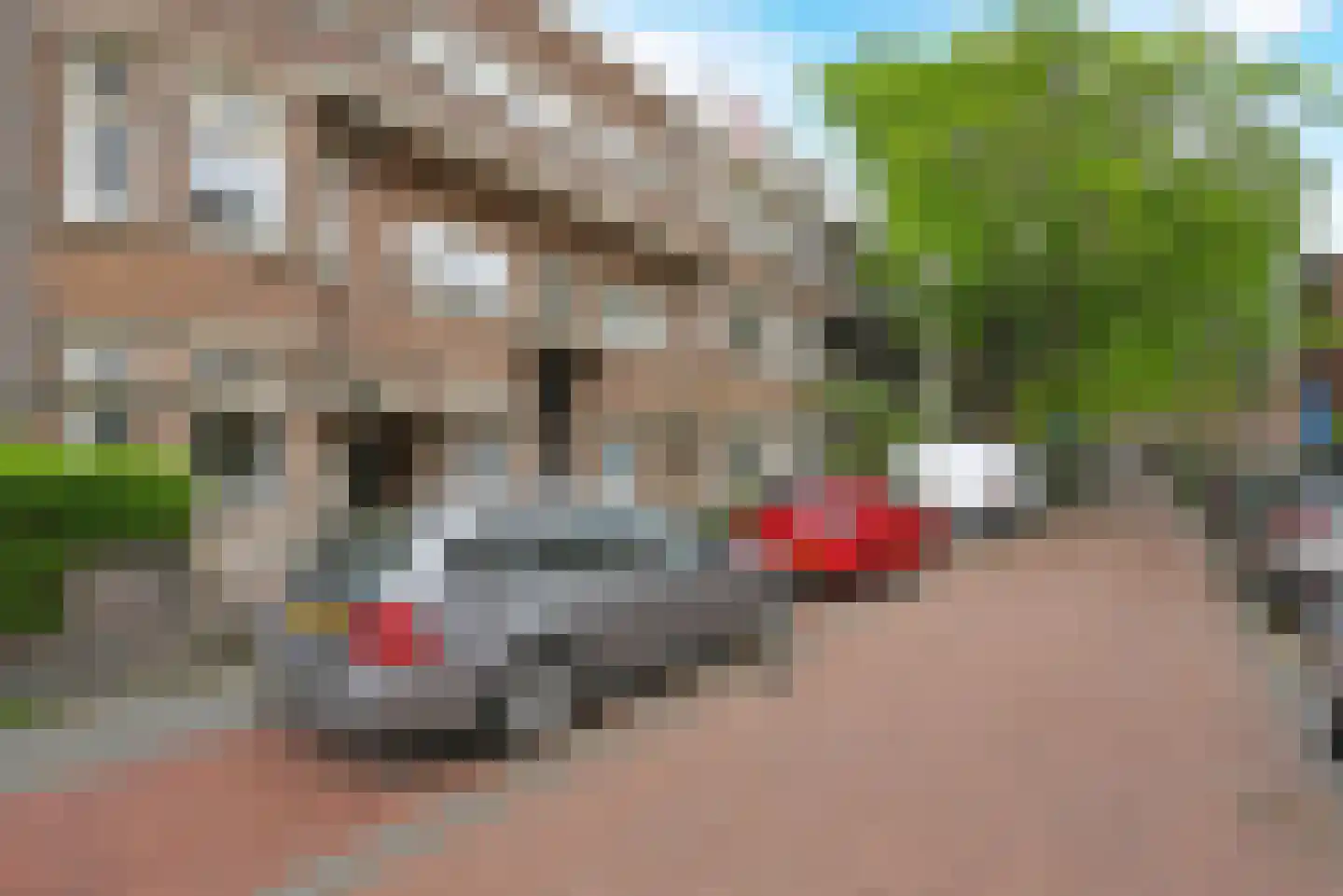 Hoog Buurlostraat 84 Den Haag thumbnail 4