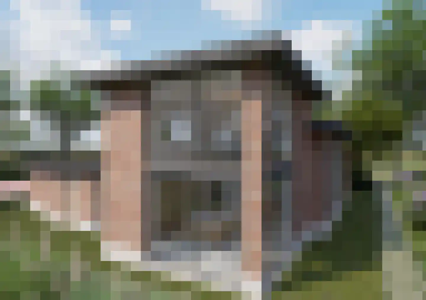 Hoog Dalemseweg 60 Gorinchem thumbnail 8
