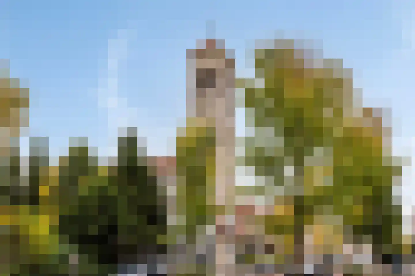 Hoog Gagel 12 Eindhoven thumbnail 30