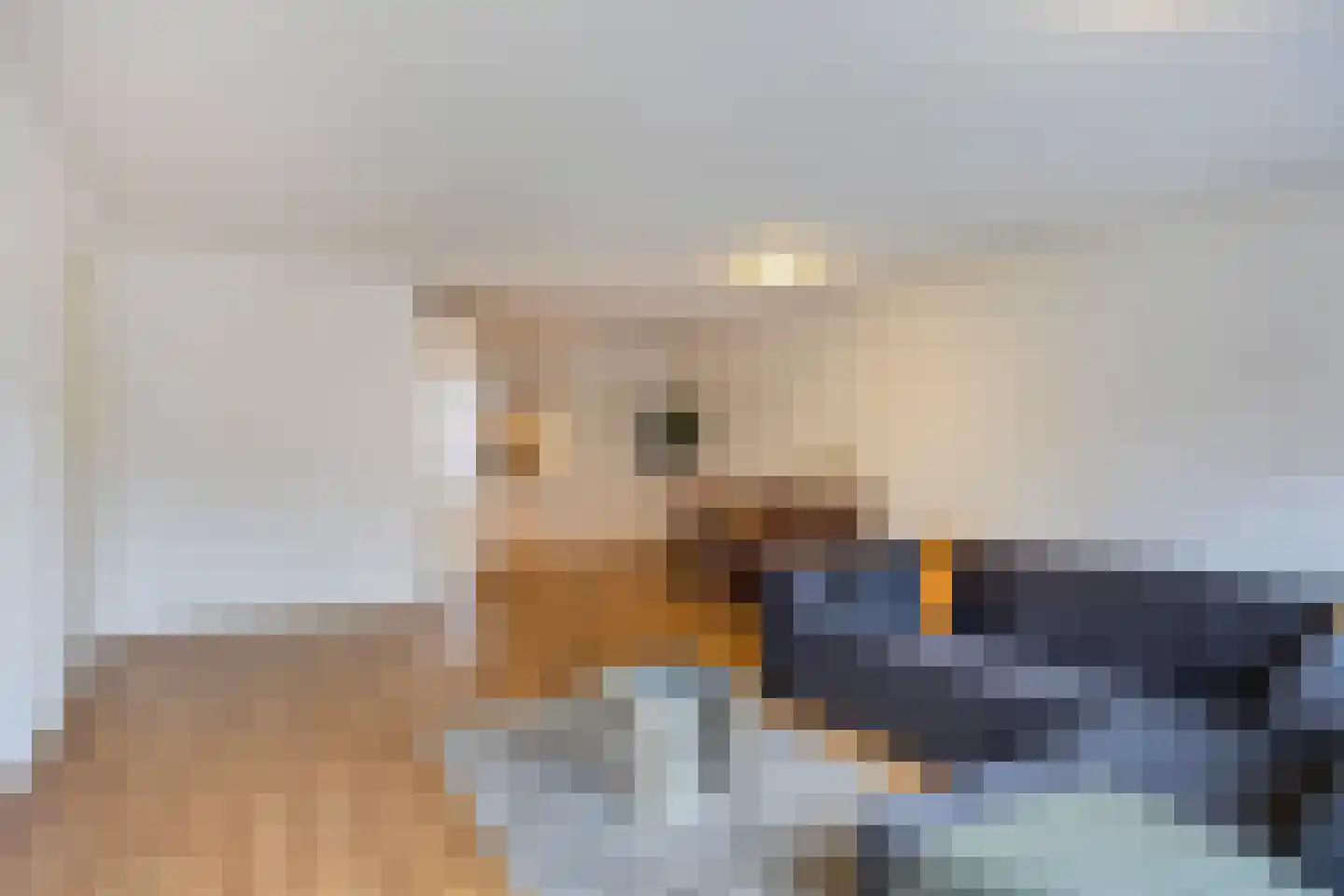 Hoog Gagel 12 Eindhoven thumbnail 9