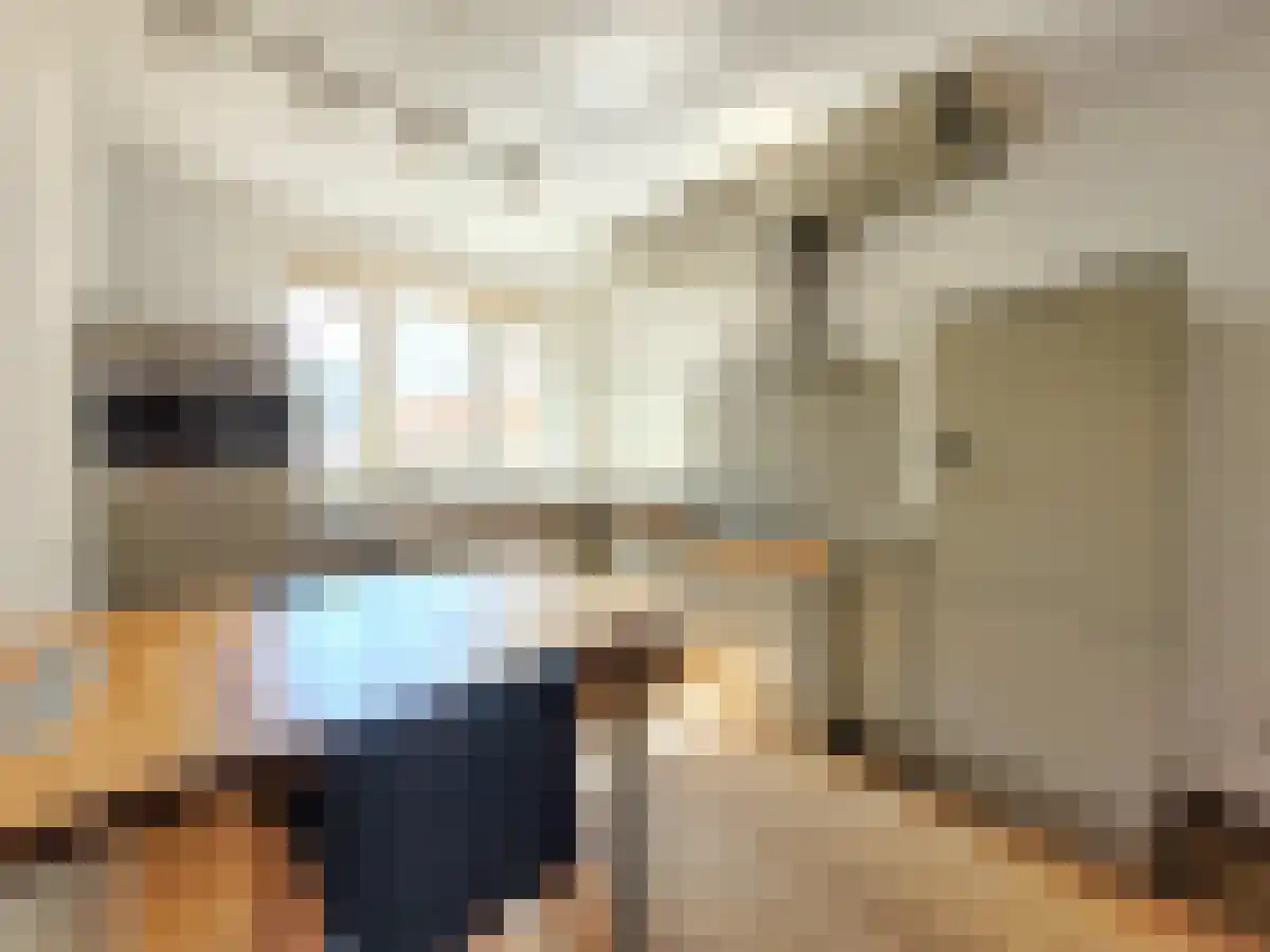 Hoog Gagel 62 Eindhoven thumbnail 6