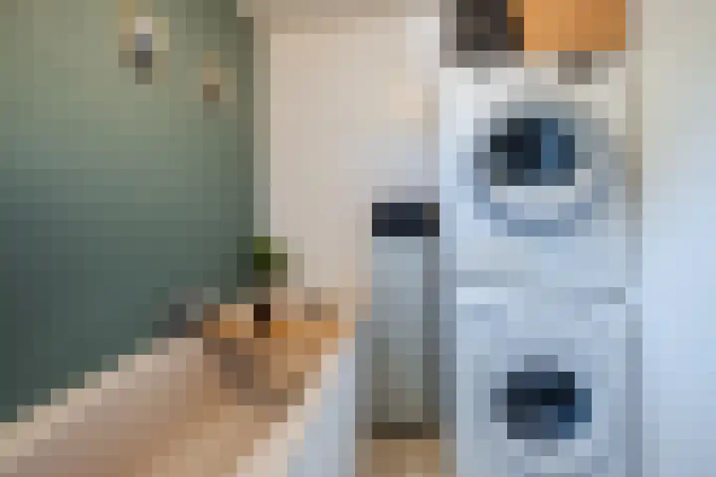 Hoog Geldrop 31 Geldrop thumbnail 20