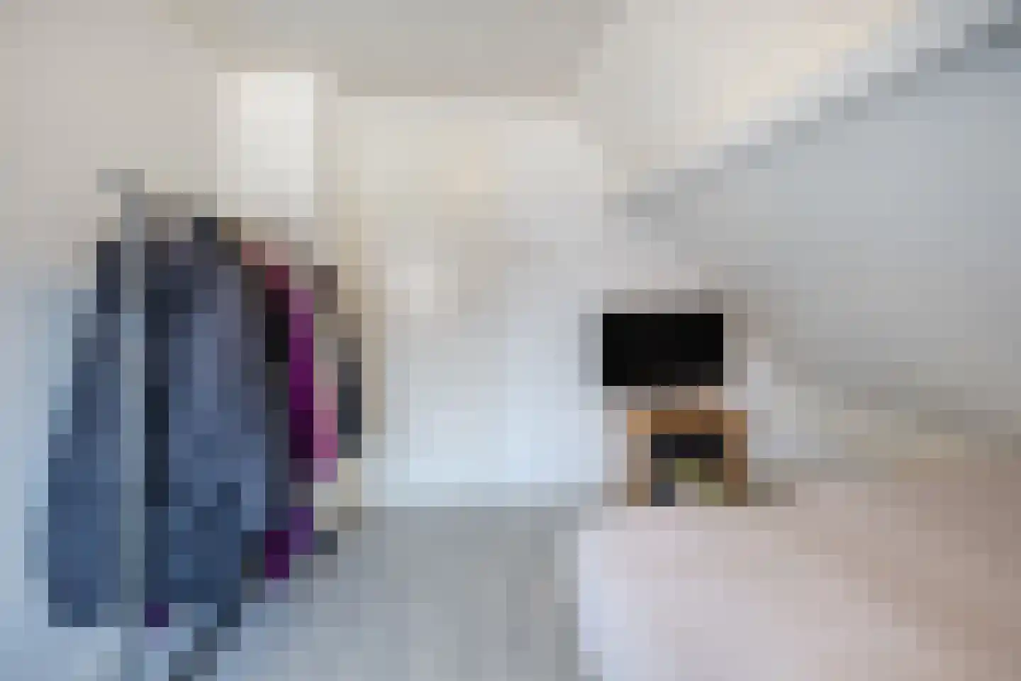 Hoog Geldrop 31 Geldrop thumbnail 29