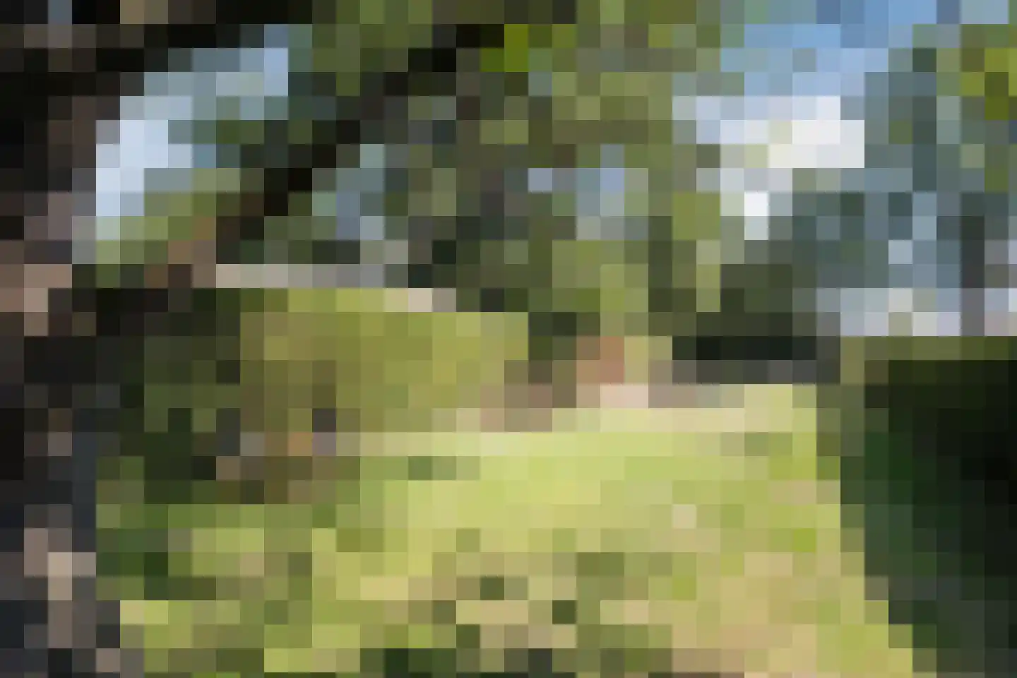 Hoog Geldrop 31 Geldrop foto 3