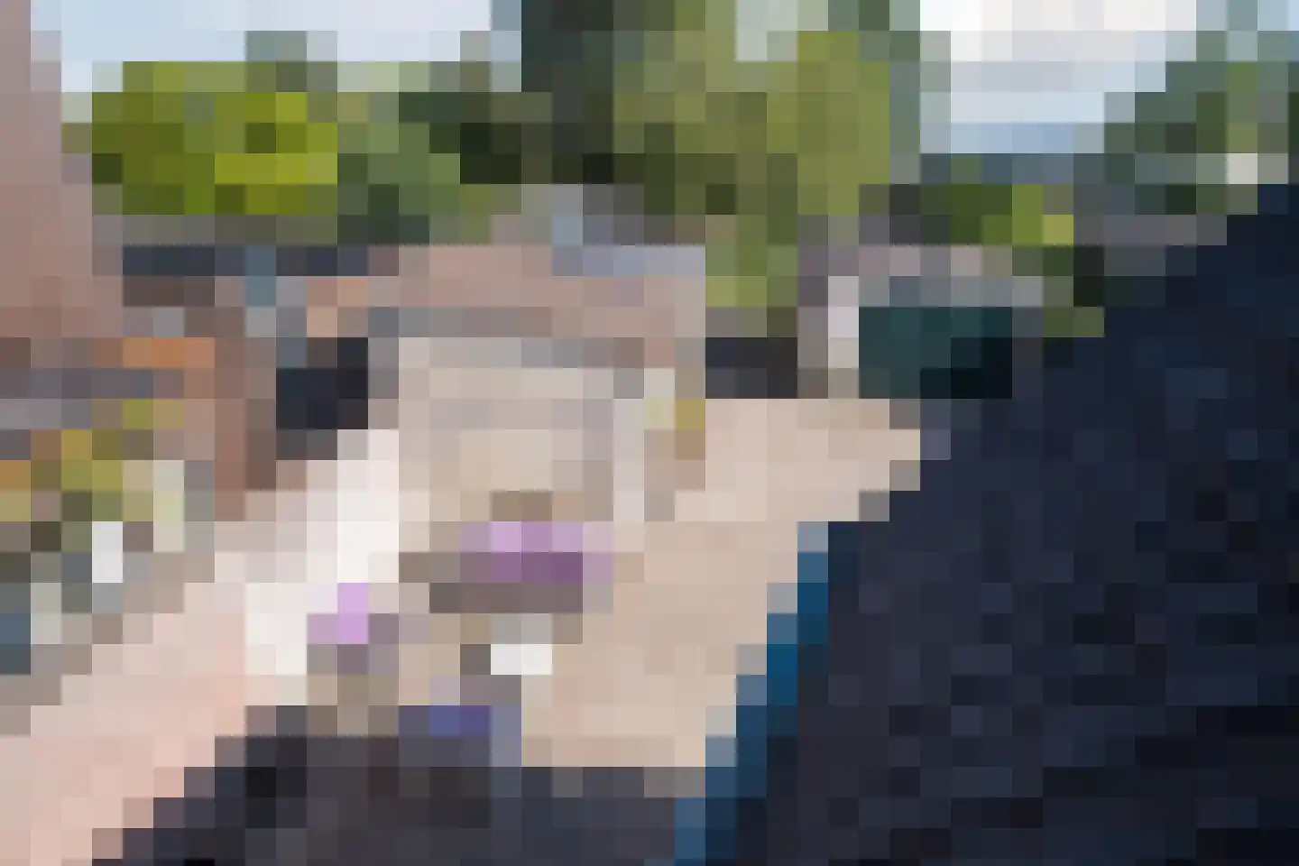 Hoog Geldrop 31 Geldrop thumbnail 31