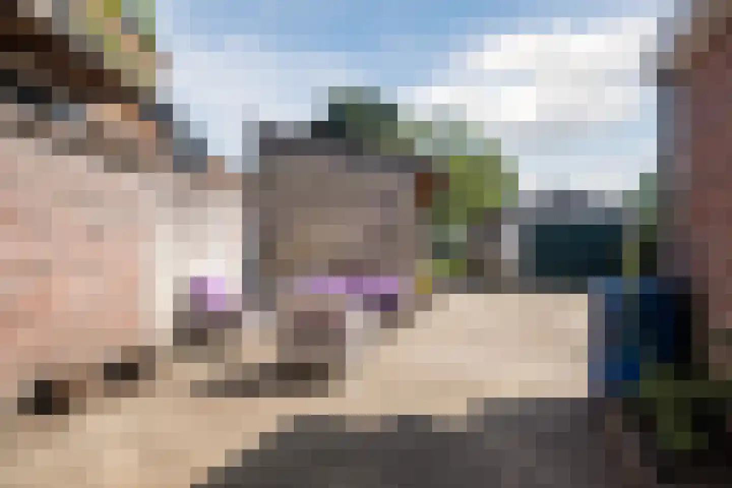 Hoog Geldrop 31 Geldrop thumbnail 32