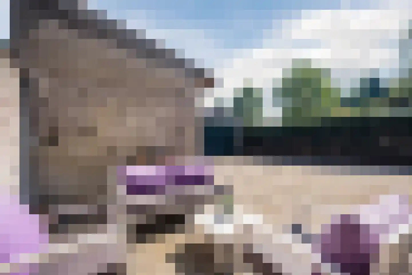 Hoog Geldrop 31 Geldrop thumbnail 33