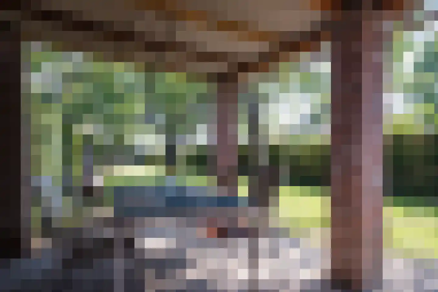 Hoog Geldrop 31 Geldrop thumbnail 37