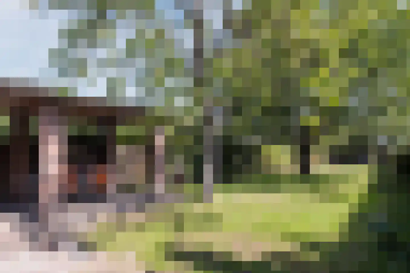 Hoog Geldrop 31 Geldrop thumbnail 38