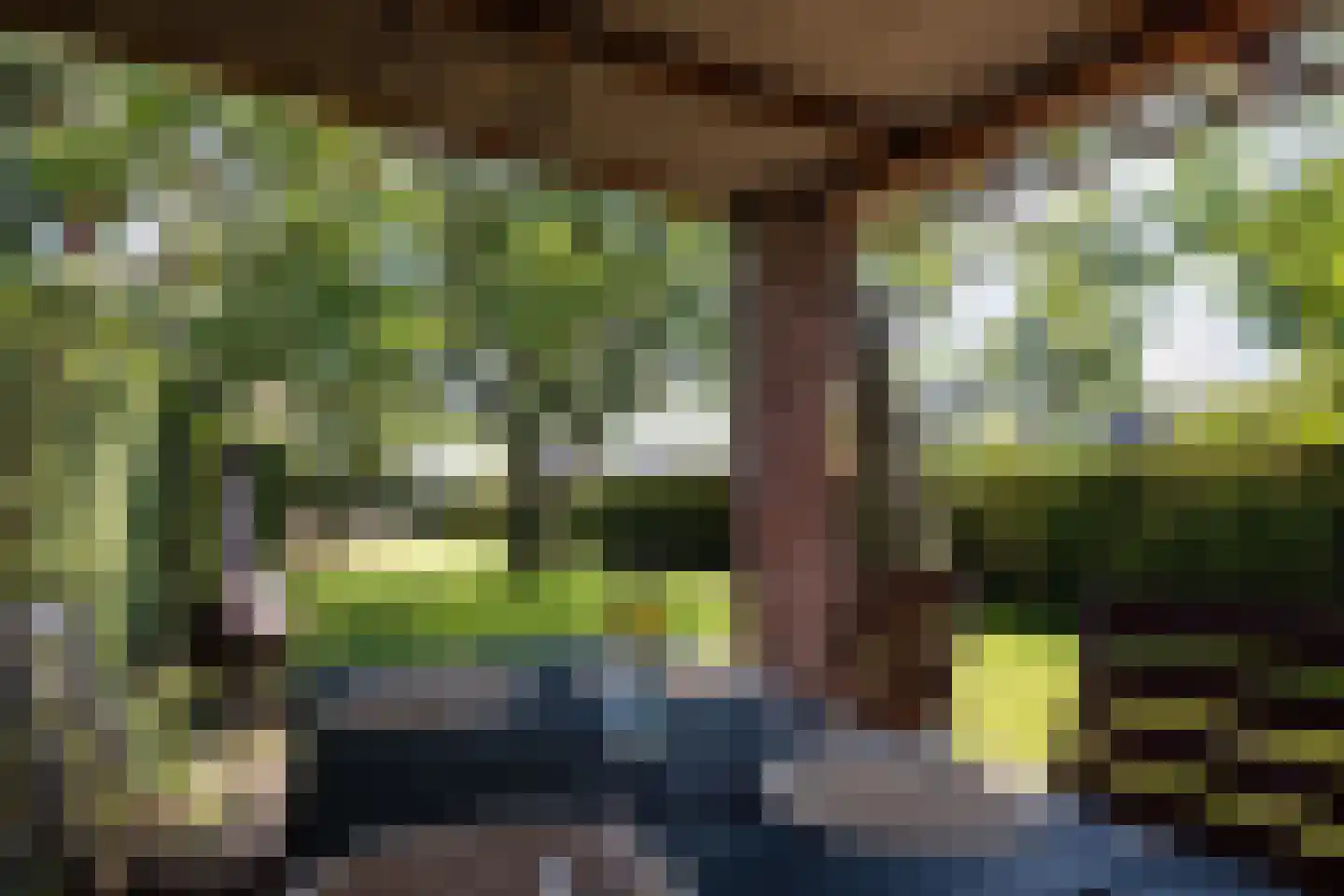 Hoog Geldrop 31 Geldrop thumbnail 4