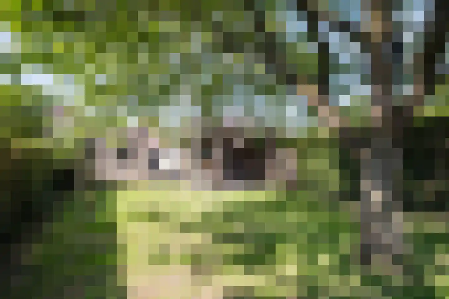 Hoog Geldrop 31 Geldrop thumbnail 41