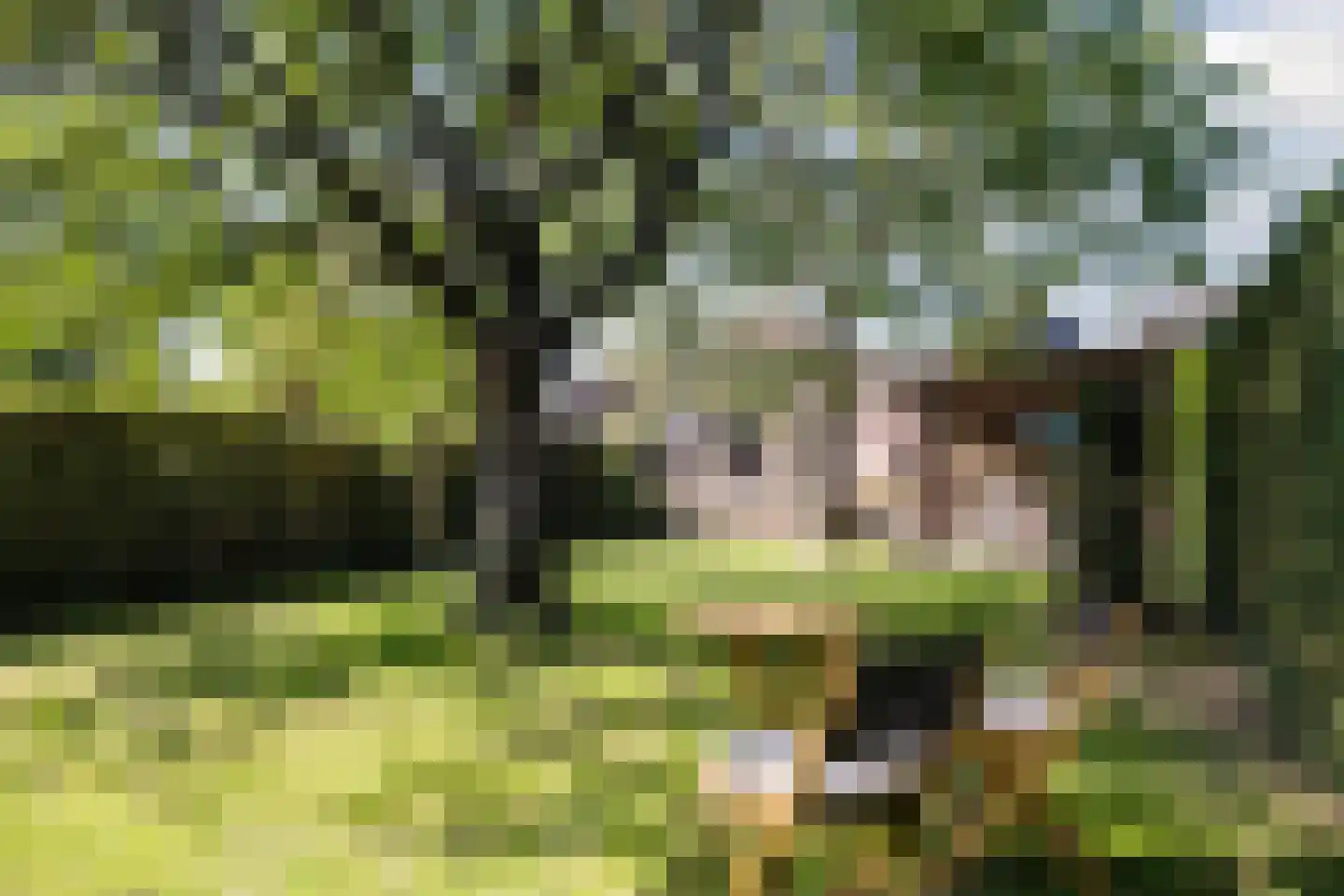 Hoog Geldrop 31 Geldrop thumbnail 42