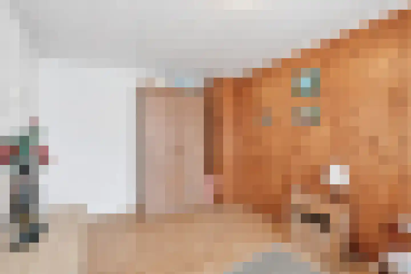 Hoog Geldrop 53 Geldrop thumbnail 24