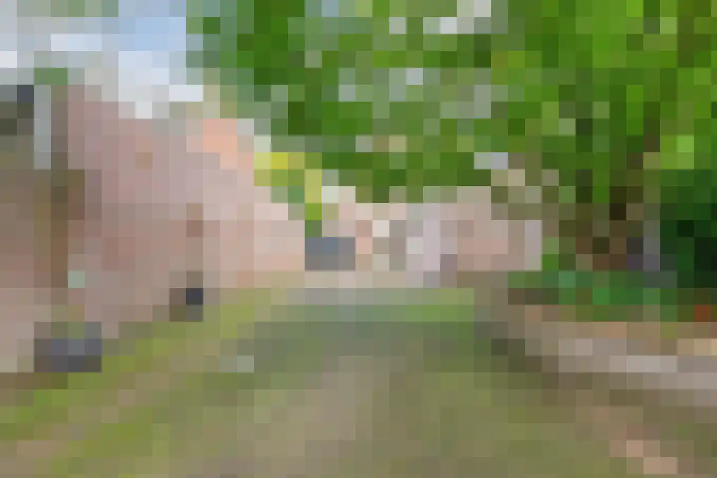 Hoog Geldrop 53 Geldrop thumbnail 32
