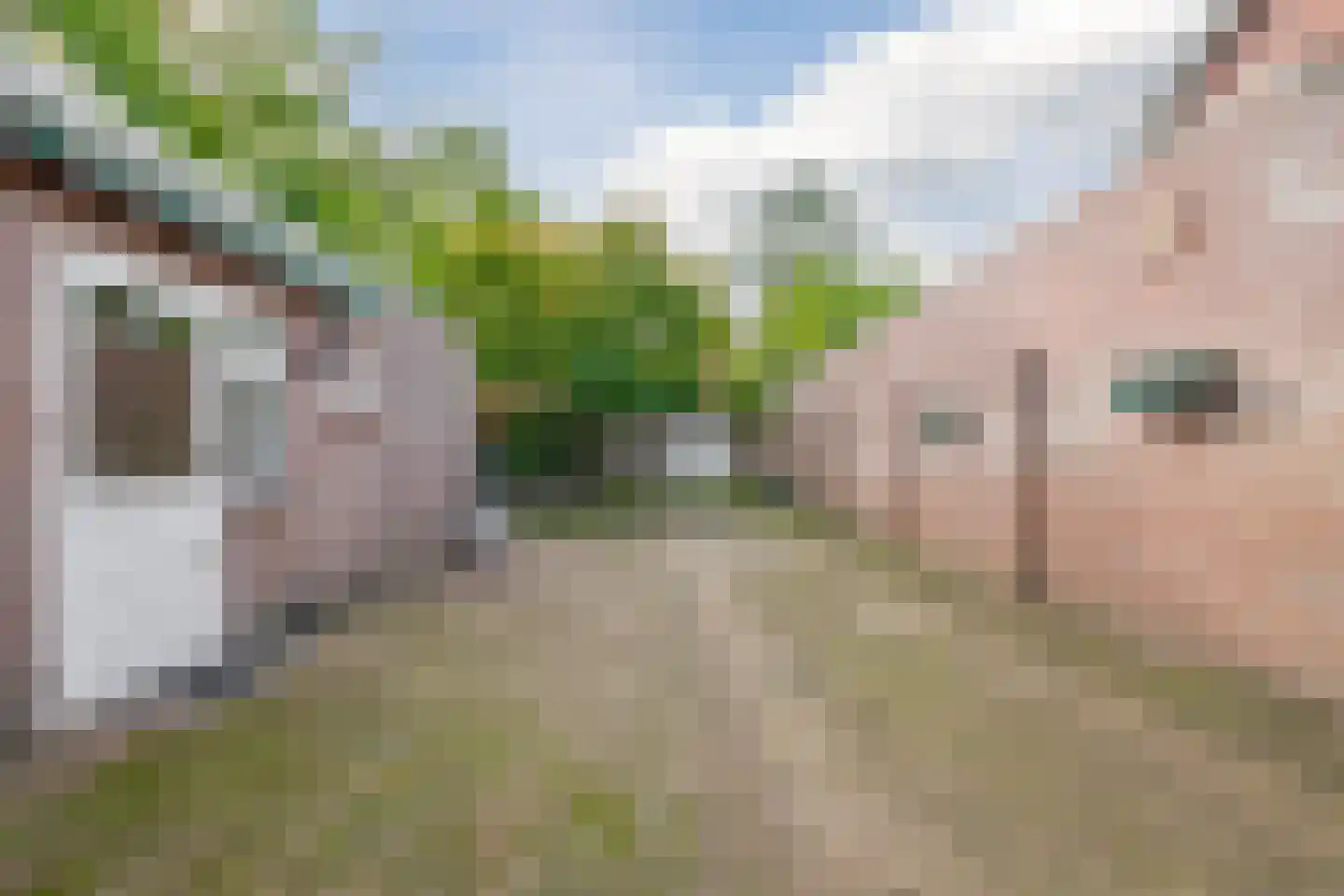 Hoog Geldrop 53 Geldrop thumbnail 33