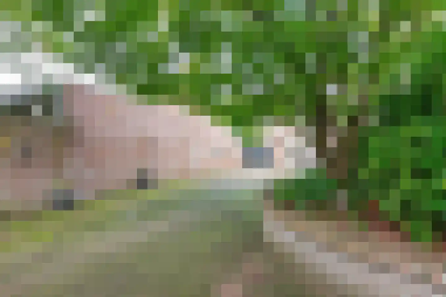 Hoog Geldrop 53 Geldrop thumbnail 35