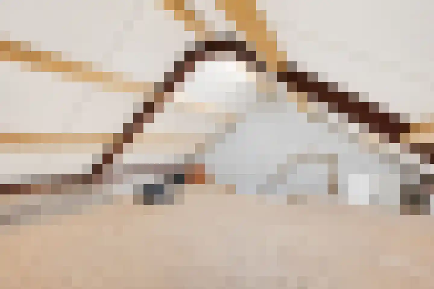 Hoog Geldrop 53 Geldrop thumbnail 38