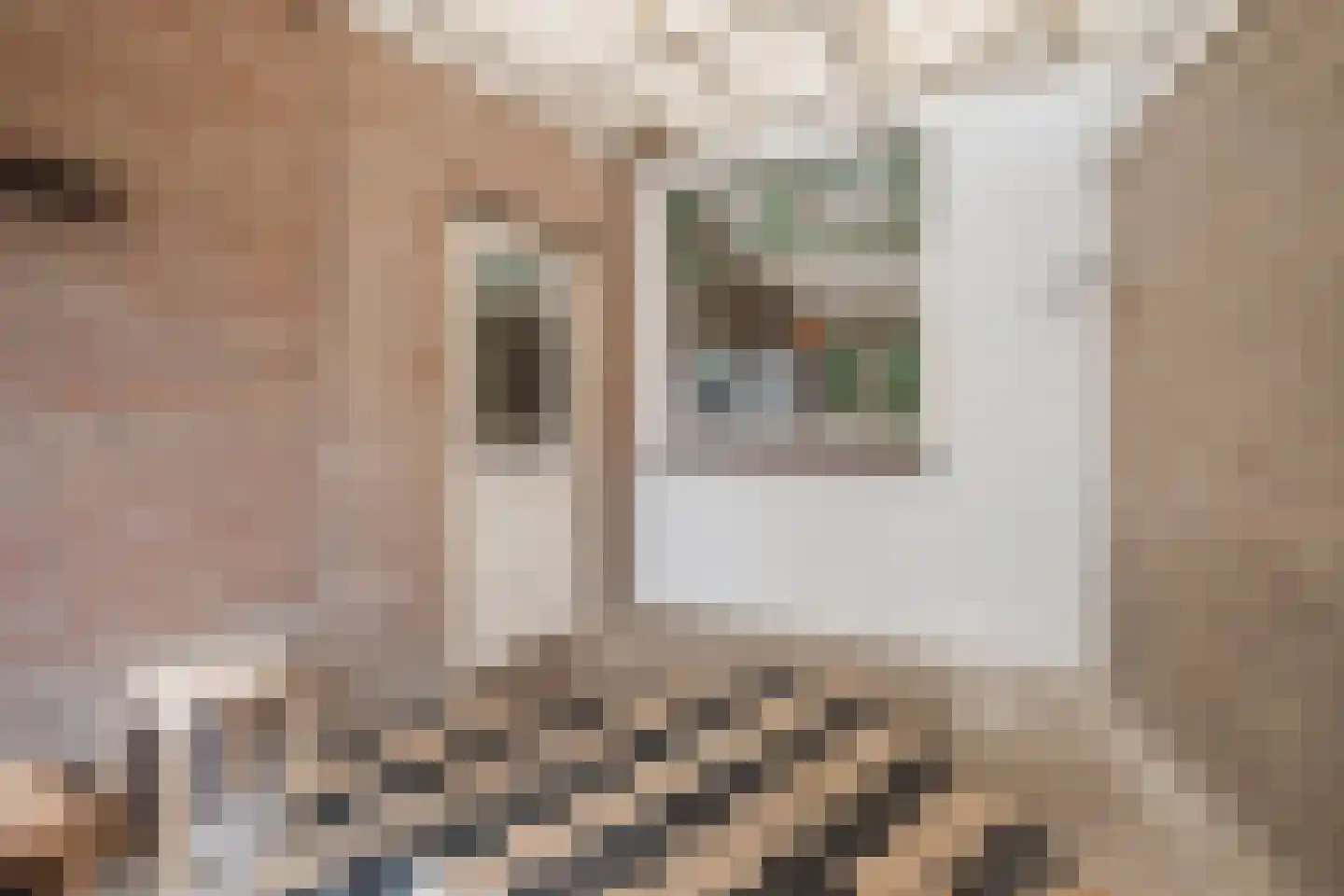 Hoog Geldrop 99 Geldrop thumbnail 21