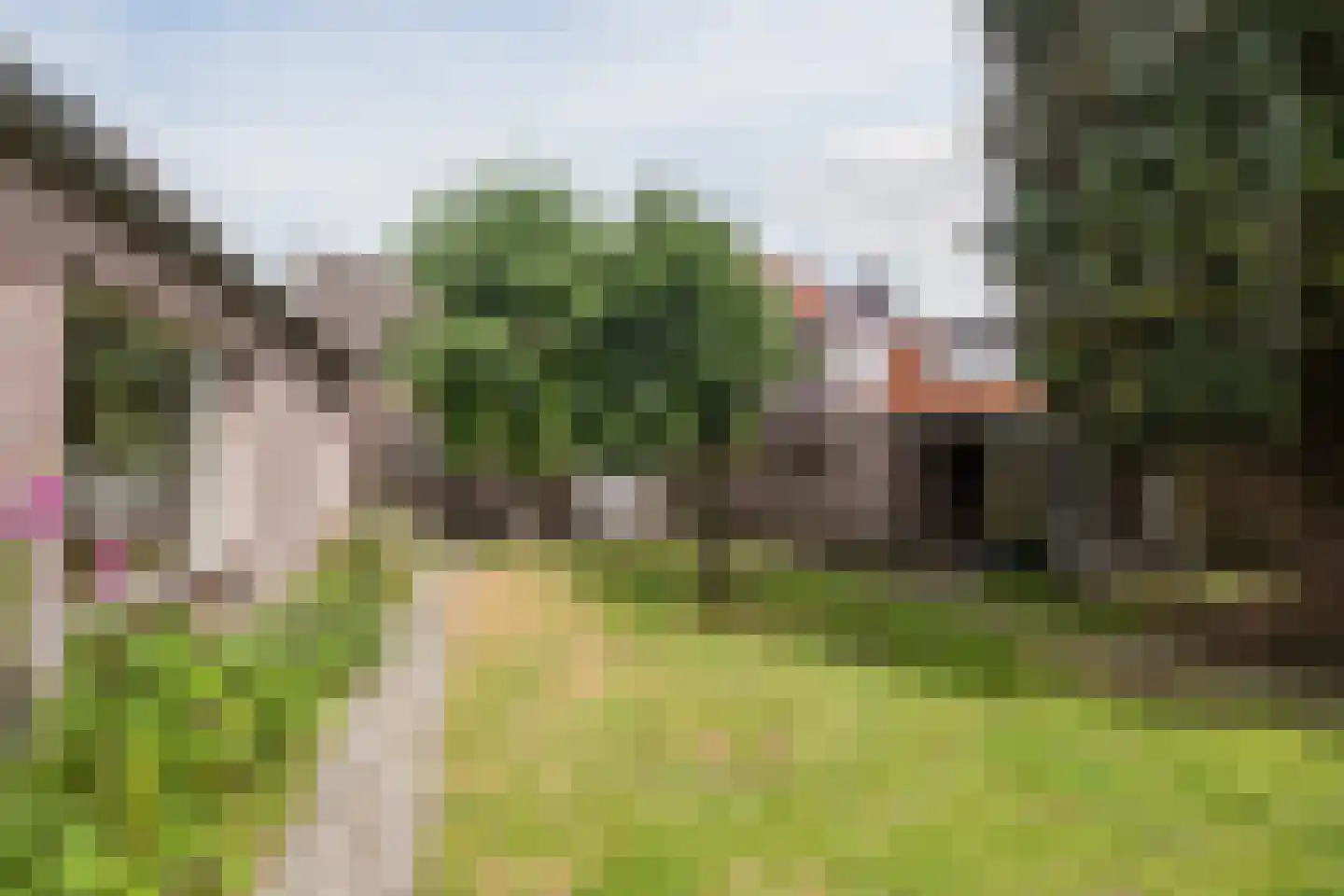 Hoog Geldrop 99 Geldrop thumbnail 40