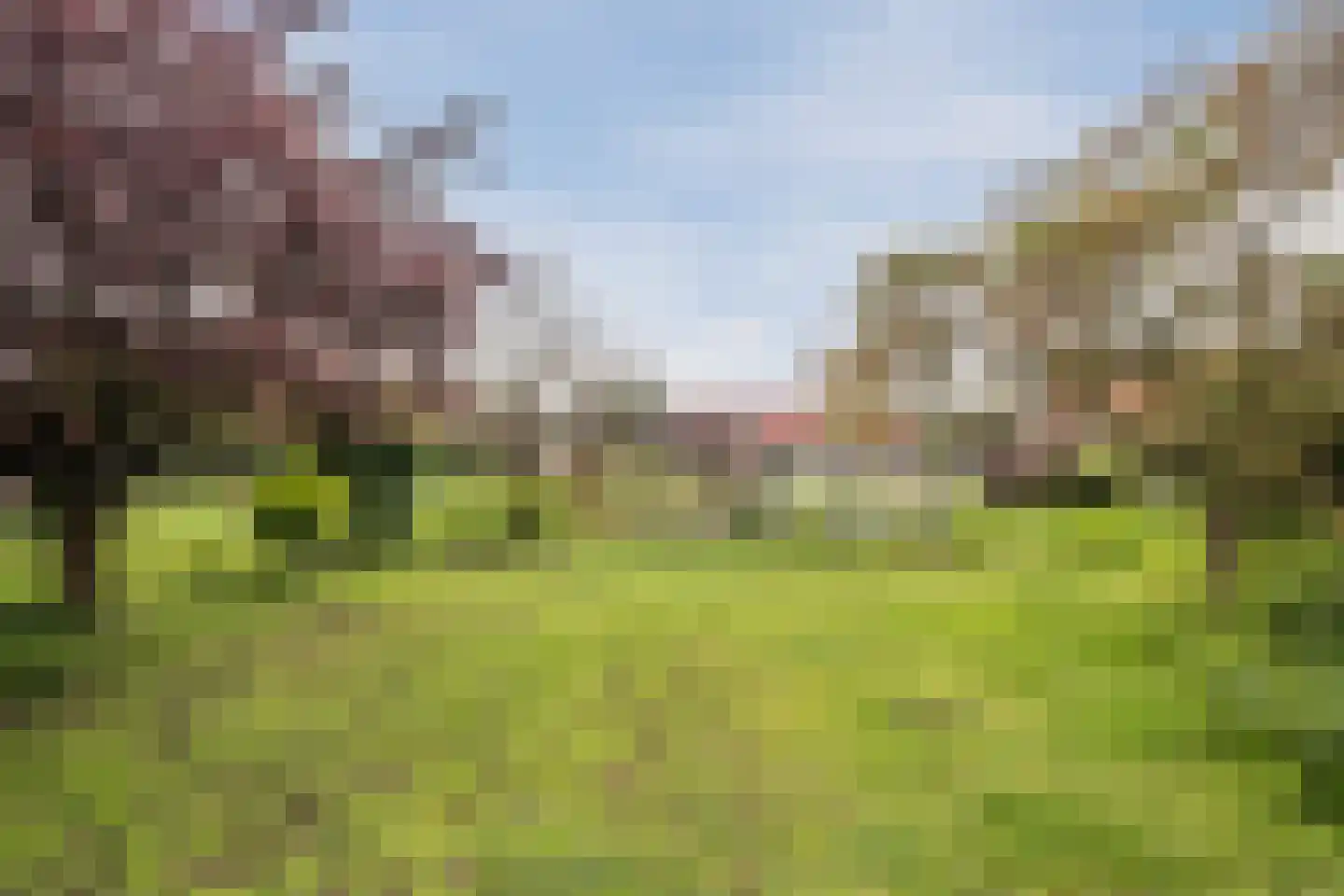 Hoog Geldrop 99 Geldrop thumbnail 44
